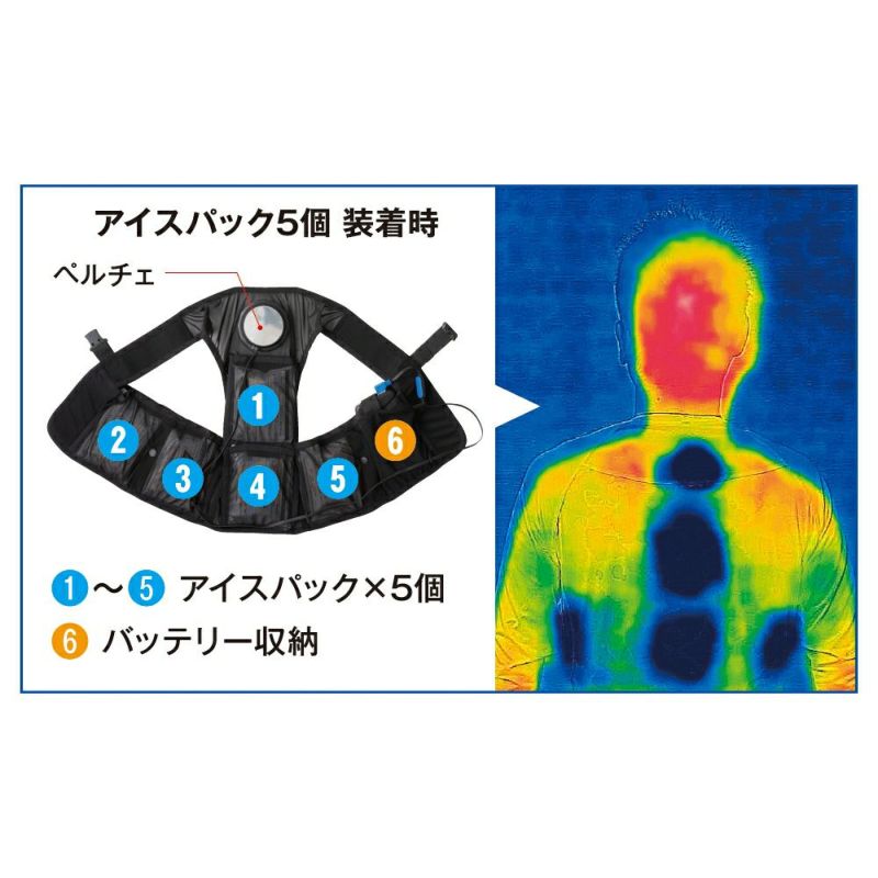 保冷剤3個・ペルチェ・バッテリーは別売り