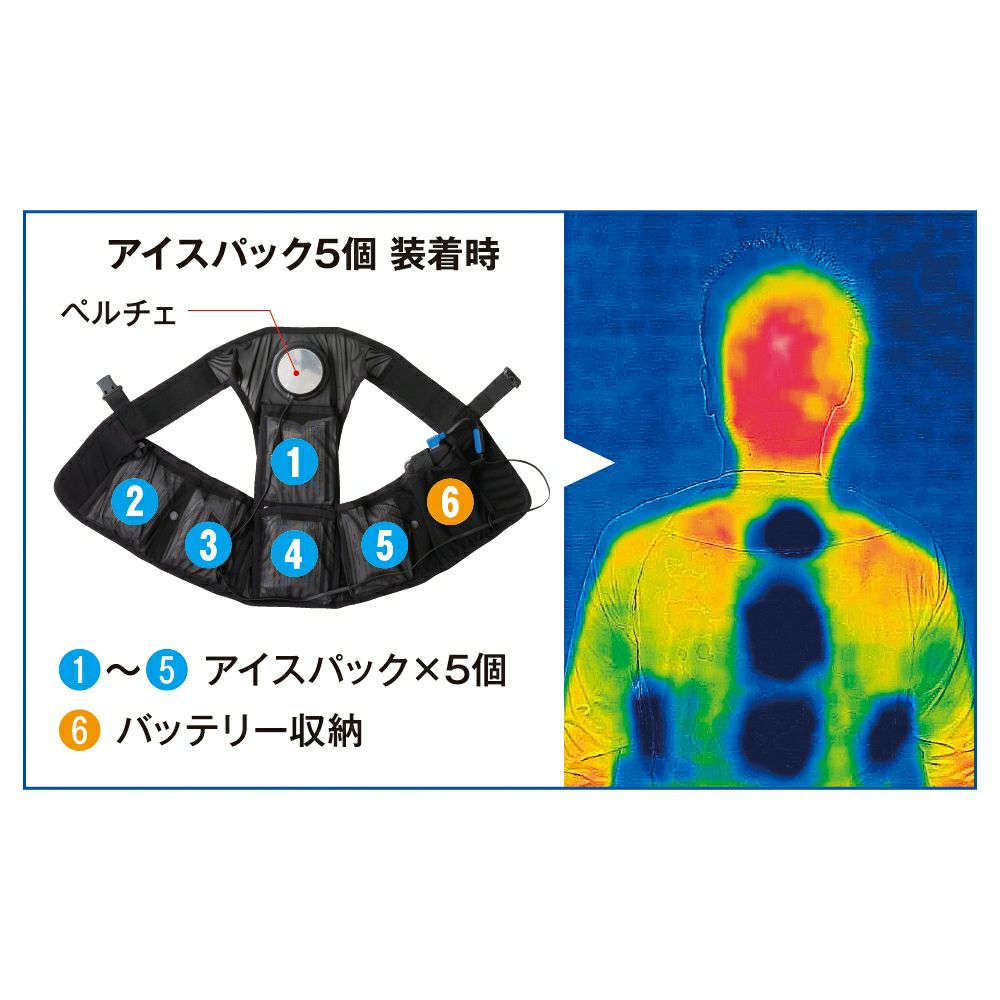 保冷剤3個・ペルチェ・バッテリーは別売り